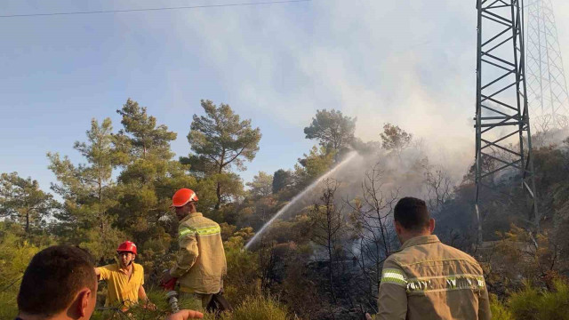 Milas’taki zirai alan yangını kontrol altına alındı