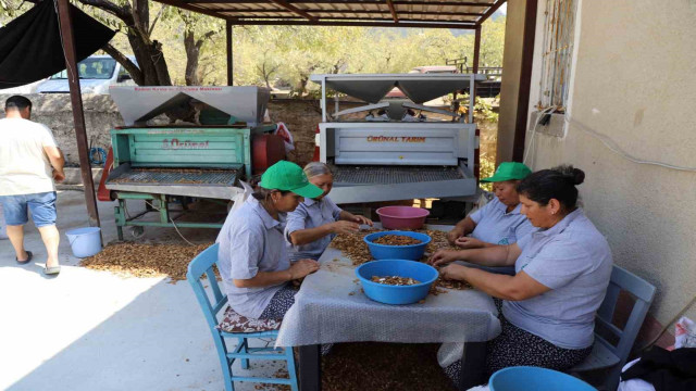 Muğla’nın tarımsal ürünleri dünyaya açılıyor