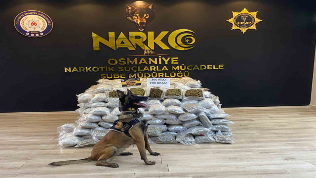 Osmaniye’de durdurulan tırda 166 kilo 700 gram skunk ele geçirildi