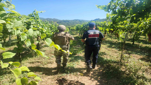 Sakarya’da 7 ayda 81 hırsızlık olayı meydana geldi