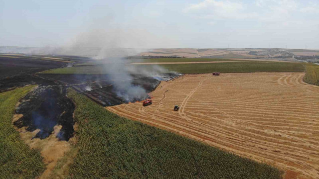 Tekirdağ’da yangınlarda 19 bin 676 dekar tarım arazisi zarar gördü