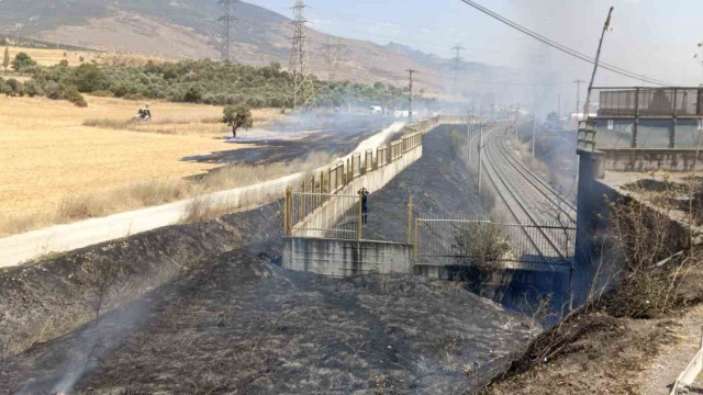 Yol kenarına atılan sigara izmariti yangına sebep oldu