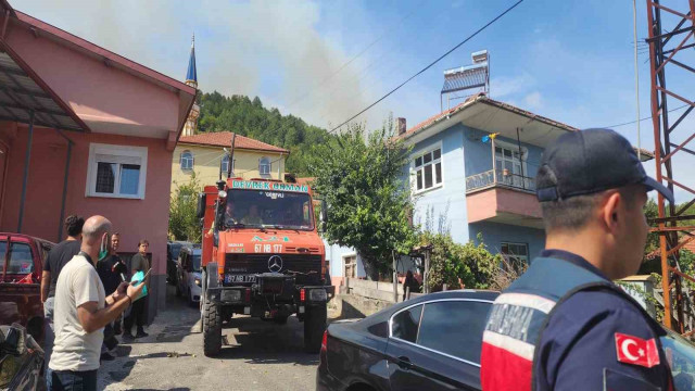 Zonguldak’ta orman yangını