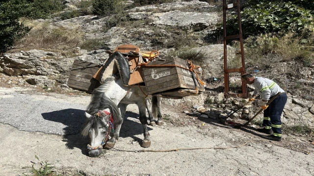 Sokakların temizliği Kıroğlan’dan soruluyor