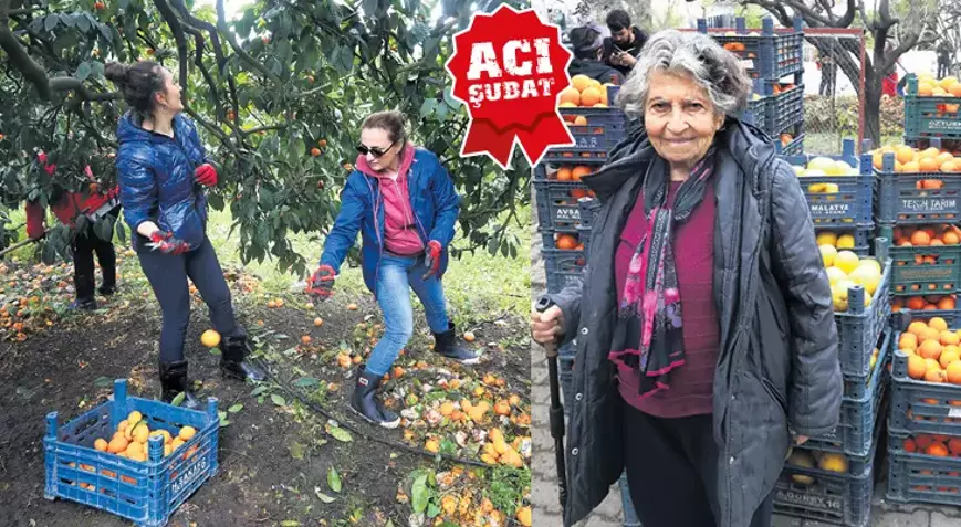 Hatay’da çiftçinin imdadına gönüllüler yetişti