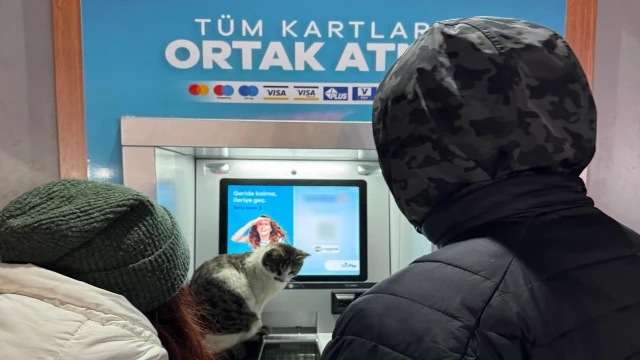 Soğuk havada üşüyen kedi, banka ATM'sine sığındı