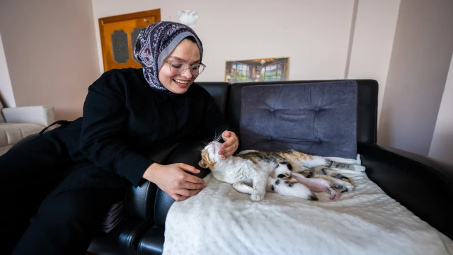  Camiye sığınan kedi ve yavruları yeni yuvasına kavuştu