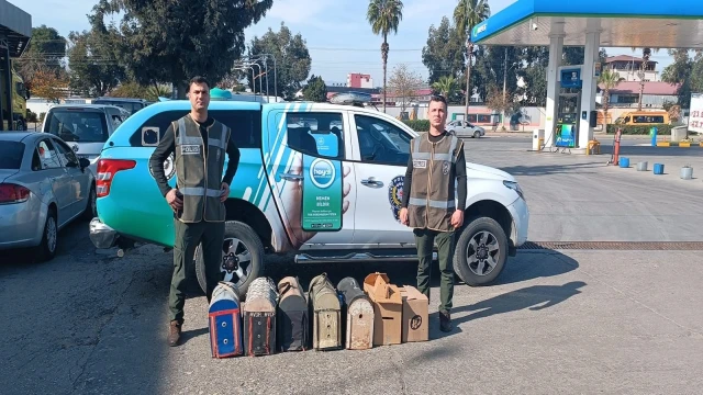 Mersin'de bahis için dövüştürülen 7 horoz koruma altına alındı