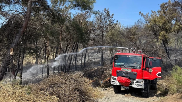 Mersin'de orman yangını: 1,5 hektar alan zarar gördü