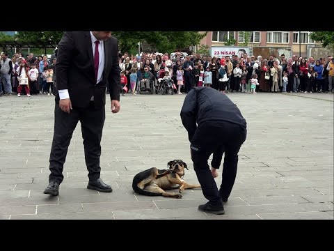 Tören alanında davetsiz misafir